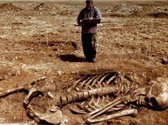Những bộ xương người khổng lồ gây tranh cãi nhất lịch sử