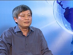 Thứ trưởng Bộ KH&CN trả lời phỏng vấn về hiện tượng hải sản chết tại miền Trung