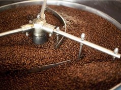 Đặt hàng chế tạo thiết bị chế biến và sấy cà phê ướt quy mô nông hộ