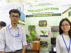 2 học trò Đà Nẵng sản xuất điện từ... cây xanh
