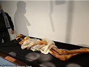 Triển lãm xác ướp công chúa 2.500 năm tuổi mang hình xăm bí ẩn