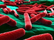 Phát minh ra vật liệu tiêu diệt vi khuẩn E.coli trong 30 giây