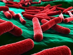 Phát minh ra vật liệu tiêu diệt vi khuẩn E.coli trong 30 giây