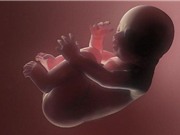 15 điều đáng kinh ngạc về thai nhi trong bụng mẹ