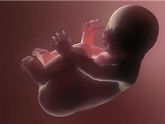 15 điều đáng kinh ngạc về thai nhi trong bụng mẹ