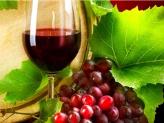 Rượu vang đỏ có giúp “cải lão hoàn đồng”?