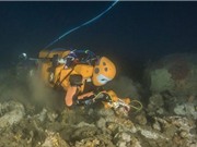 Robot tiên cá tìm kho báu trong xác tàu đắm của vua Louis XIV