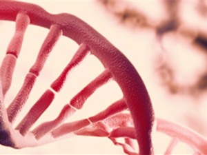 Phát hiện lớp thông tin thứ hai ẩn trong DNA