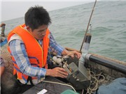 Truy hải sản chết tại miền Trung: Khoa học chỉ rõ thủ phạm Formosa