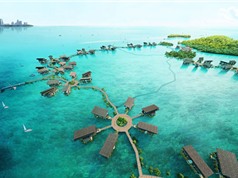Mục sở thị 10 hòn đảo xinh đẹp nhất Malaysia