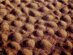 Cận cảnh những gò đất bí ẩn mọc san sát ở thảo nguyên nước Mỹ