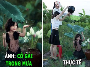 “Chết cười” với những sự thật đằng sau các bức ảnh tuyệt đẹp