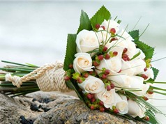 Tìm hiểu ý nghĩa của 10 loại hoa cưới phổ biến nhất thế giới