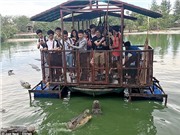 Sợ hãi cảnh khách du lịch cho cá sấu đói ăn thịt