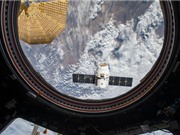 NASA phóng thành công tàu vũ trụ Dragon vào quỹ đạo