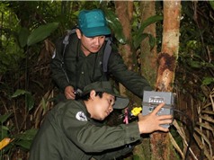 Bẫy ảnh - Phương pháp hữu hiệu phục vụ nghiên cứu đa dạng sinh học tại Việt Nam