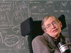 Hawking: Con người không thể bớt ngu dốt, tham lam 