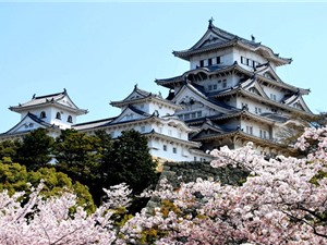 Chiêm ngưỡng lâu đài cổ đẹp nhất Nhật Bản
