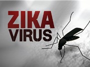 Bộ Y tế xác nhận ca nhiễm virus zika đầu tiên ở Phú Yên