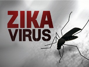 Bộ Y tế xác nhận ca nhiễm virus zika đầu tiên ở Phú Yên