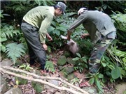 Thả động vật rừng về tự nhiên tại Phong Nha - Kẻ Bàng