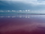 Ngắm nước biển màu hồng cực "độc" ở Mexico