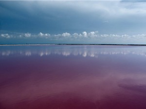 Ngắm nước biển màu hồng cực "độc" ở Mexico