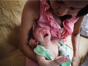 Hơn 1,6 triệu bà mẹ có nguy cơ mắc Zika