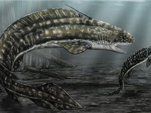 Cá mập mình lươn khổng lồ thời tiền sử ăn thịt con non