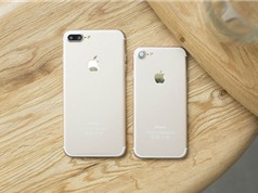 Hình ảnh thực tế iPhone 7 và iPhone 7 Plus
