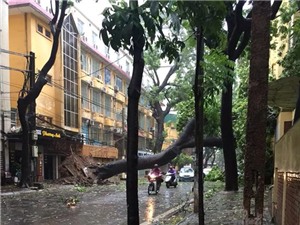 Áp thấp sẽ mạnh lên thành bão, tái diễn mưa lớn tại Bắc Bộ