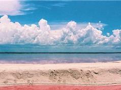 Khám phá hồ nước có màu hồng "siêu bí ẩn" ở Mexico