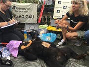 Cứu hộ gấu chó bị nuôi nhốt 7 năm ở Nam Định