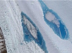 Sông băng Nam Cực xuất hiện gần 8.000 hồ nước xanh dương kỳ lạ