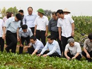 Phó Thủ tướng Vũ Đức Đam:  Bắc Ninh nên nhân mô hình nông sản sạch 