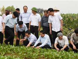 Phó Thủ tướng Vũ Đức Đam:  Bắc Ninh nên nhân mô hình nông sản sạch 