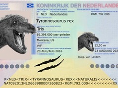 Kỳ lạ: Hà Lan cấp hộ chiếu cho khủng long bạo chúa nặng 6 tấn