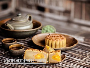 Bánh trung thu: Nhiều nhãn hiệu lớn  hết hạn bảo hộ