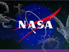 NASA lý giải chuyện thay đổi cung hoàng đạo, "đảo lộn" Chiêm tinh học