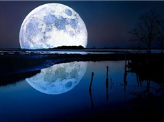 Tại sao Mặt Trăng nhìn to hơn khi ở chân trời ?
