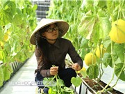 PGS-TS Lê Tất Khương: Kết nối nông dân - doanh nghiệp tăng giá trị cho sản phẩm nông nghiệp