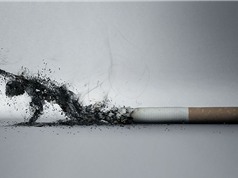 Hút thuốc lá làm biến đổi bộ gene của con người