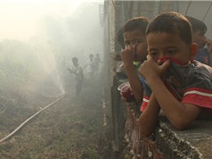 Cháy rừng Indonesia có thể gây 100.000 ca tử vong ở Đông Nam Á