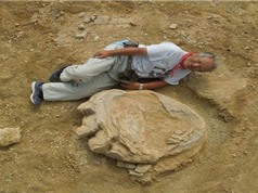 Dấu chân 70 triệu năm của thằn lằn hộ pháp trên sa mạc