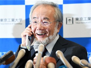Điều gì giúp nhà khoa học Nhật Bản giành giải Nobel Y học 2016