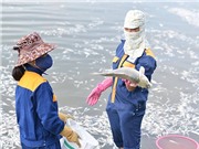 Xác định nguyên nhân ban đầu làm cá Hồ Tây chết hàng loạt