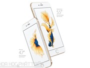 iPhone 6s và iPhone 6s Plus giảm giá sốc
