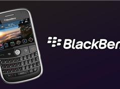 BlackBerry - thất bại  bắt nguồn từ thành công