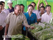 Thủ tướng Nguyễn Xuân Phúc: Nông nghiệp công nghệ cao là hướng đi quan trọng