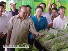 Thủ tướng Nguyễn Xuân Phúc: Nông nghiệp công nghệ cao là hướng đi quan trọng